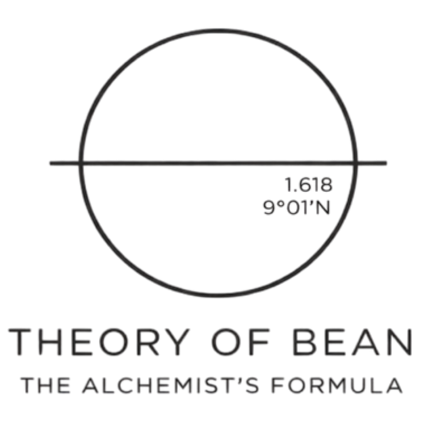 THEORY OF BEAN